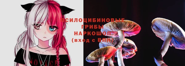 прущий лед Аркадак