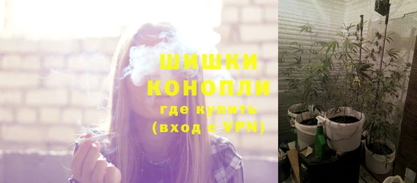 прущий лед Аркадак