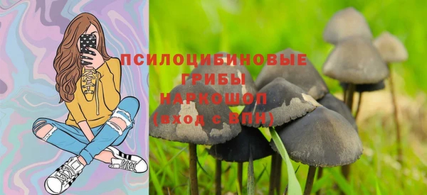 прущий лед Аркадак