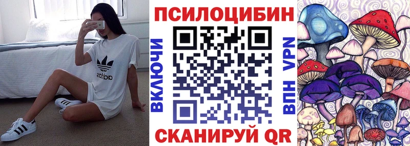 МЕГА маркетплейс  Лесосибирск  Псилоцибиновые грибы Psilocybine cubensis  купить наркоту 