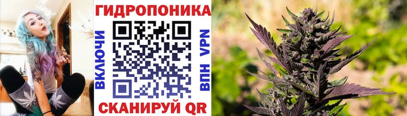 Каннабис SATIVA & INDICA  Лесосибирск 